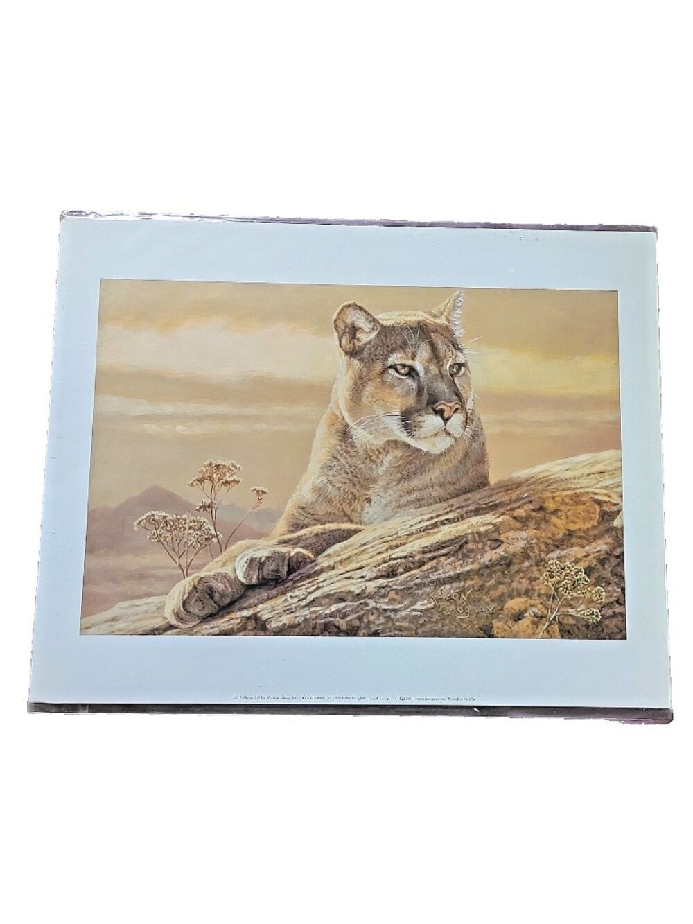 Kalon Baughan Desert Sunrise Cougar Mountain Lion Art Print 8x12 McGaw Graphics